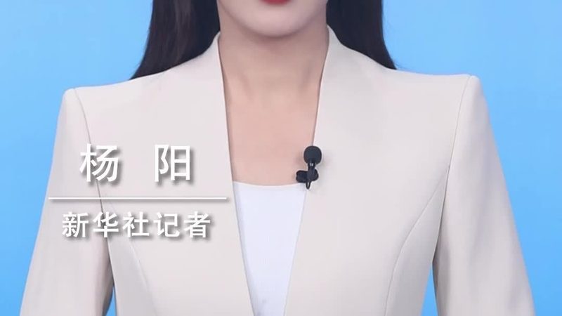 电商数据中台开源框架：揭秘其核心价值与应用场景