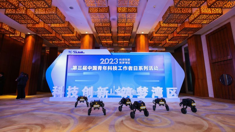 知识图谱关系抽取：揭秘高效流程步骤
